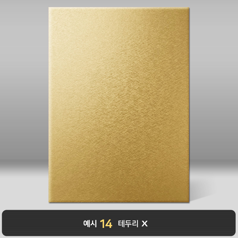 골드 메탈레자 상장케이스 세로형 MT07