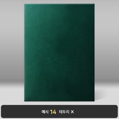 녹색 우단 상장케이스 세로형 BB19
