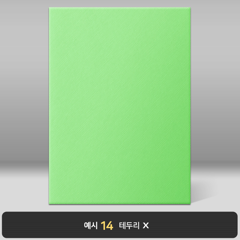 라임 엑스패턴 상장케이스 세로형 B04