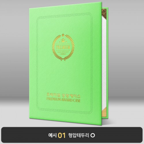 라임 엑스패턴 상장케이스 세로형 B04