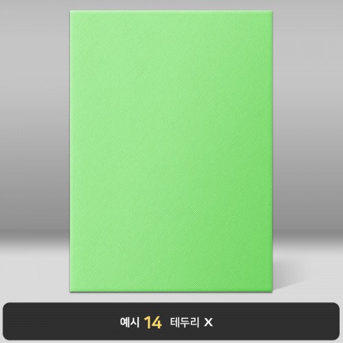 라임 엑스패턴 상장케이스 세로형 B04