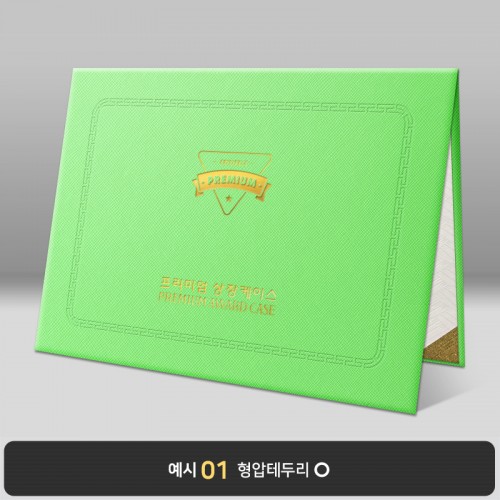 라임 엑스패턴 상장케이스 노트북형 B05