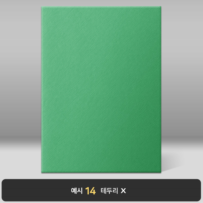 그린 엑스패턴 상장케이스 세로형 B07