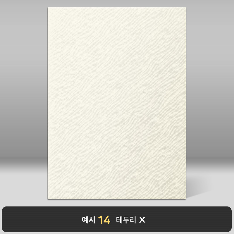 크림 엑스패턴 상장케이스 세로형 B10