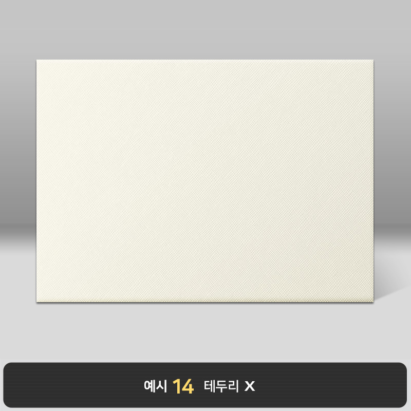 크림 엑스패턴 상장케이스 가로형 B12