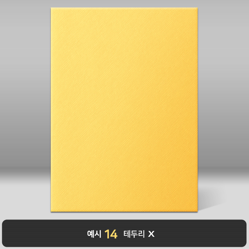 옐로우 엑스패턴 상장케이스 세로형 B13