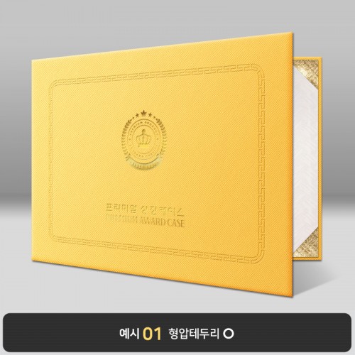 옐로우 엑스패턴 상장케이스 가로형 B15