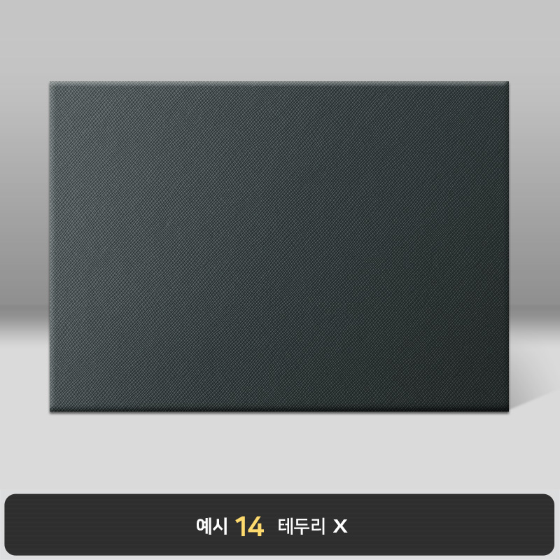 검정 엑스패턴 상장케이스 노트북형 B17
