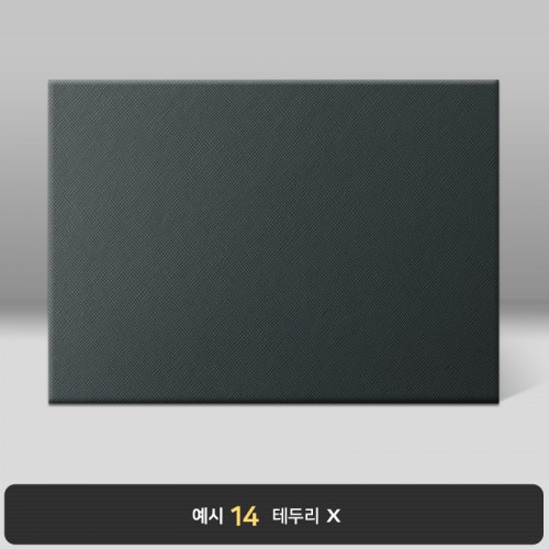 검정 엑스패턴 상장케이스 노트북형 B17