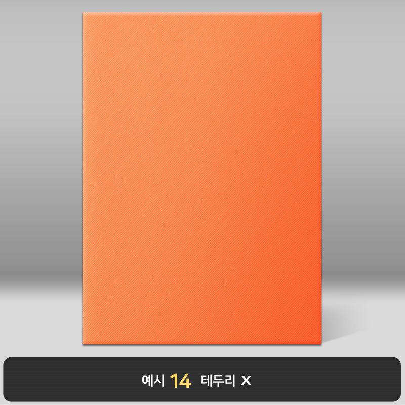 오렌지 엑스패턴 상장케이스 세로형 B19
