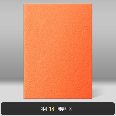 오렌지 엑스패턴 상장케이스 세로형 B19