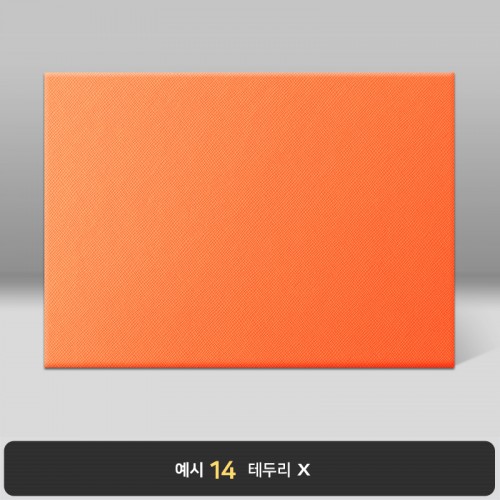 오렌지 엑스패턴 상장케이스 가로형 B21