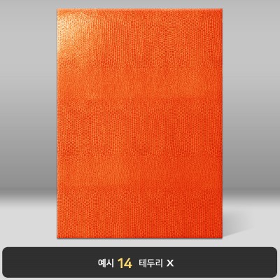 오렌지 레더텍스S 상장케이스 세로형 D19