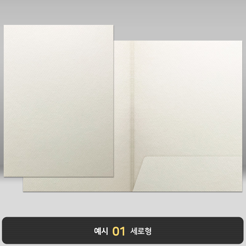 백색 종이상장케이스 한쪽포켓형 JH03