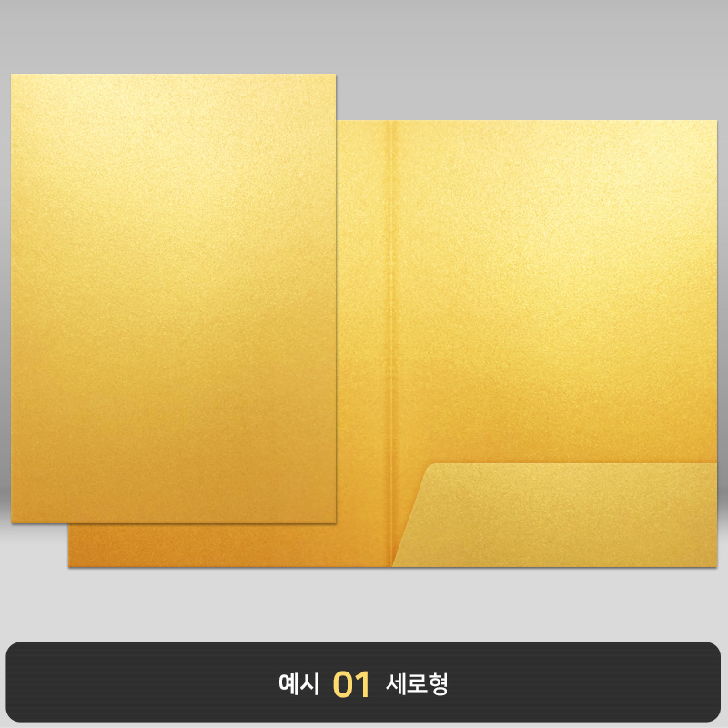 골드펄 종이상장케이스 한쪽포켓형 JH09
