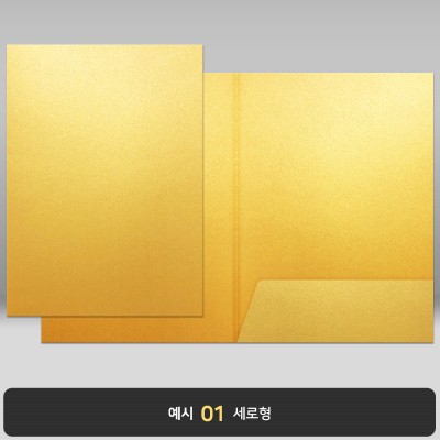 골드펄 종이상장케이스 한쪽포켓형 JH09