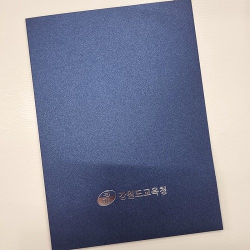 블루펄 종이상장케이스 한쪽포켓형 SC001069