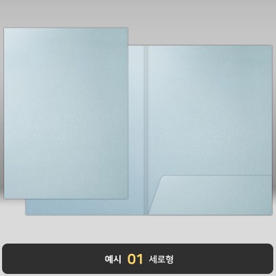스카이블루펄 종이상장케이스 한쪽포켓형 JH26