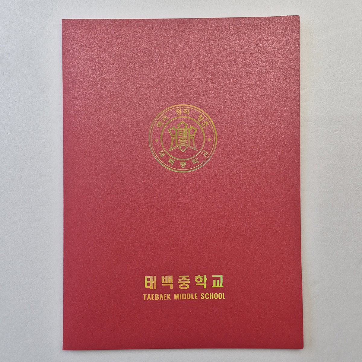 체리펄 종이상장케이스 한쪽포켓형 SC001940