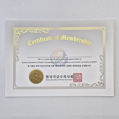 프라임금박 상장용지 인쇄샘플 SP000267