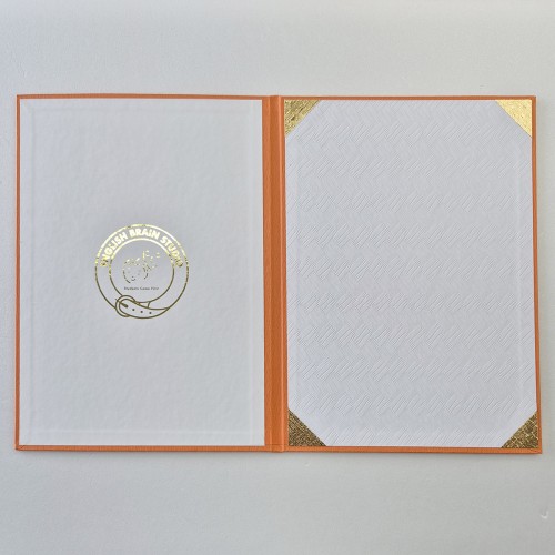 오렌지 나뭇결패턴 상장케이스 세로형 SC002035