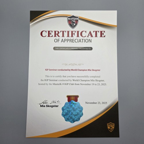 프라임 상장용지 인쇄샘플 SD000950 K9 애견학교