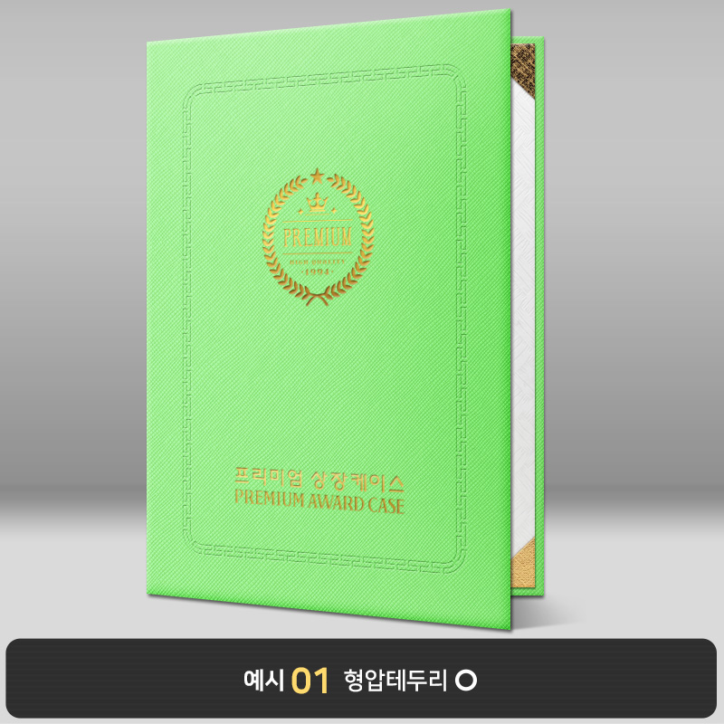 라임 엑스패턴 상장케이스 세로형 B04