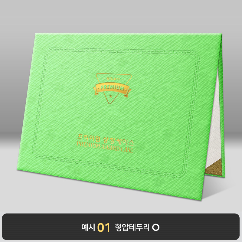 라임 엑스패턴 상장케이스 노트북형 B05