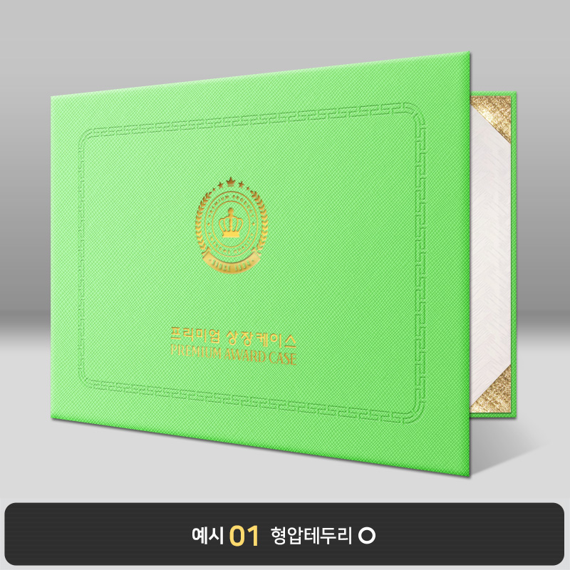 라임 엑스패턴 상장케이스 가로형 B06