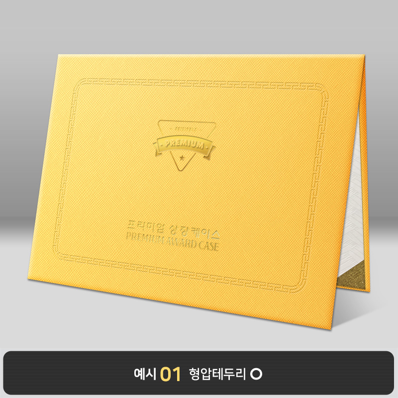 옐로우 엑스패턴 상장케이스 노트북형 B14